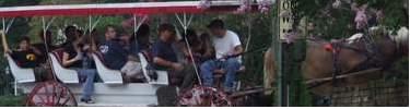 Volunteer Carriage Ride